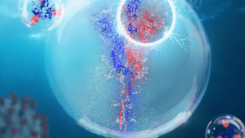 Representation of the Spike protein and its receptor binding domain"